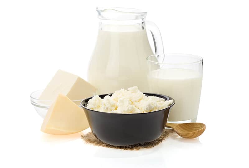 dairy dairy
